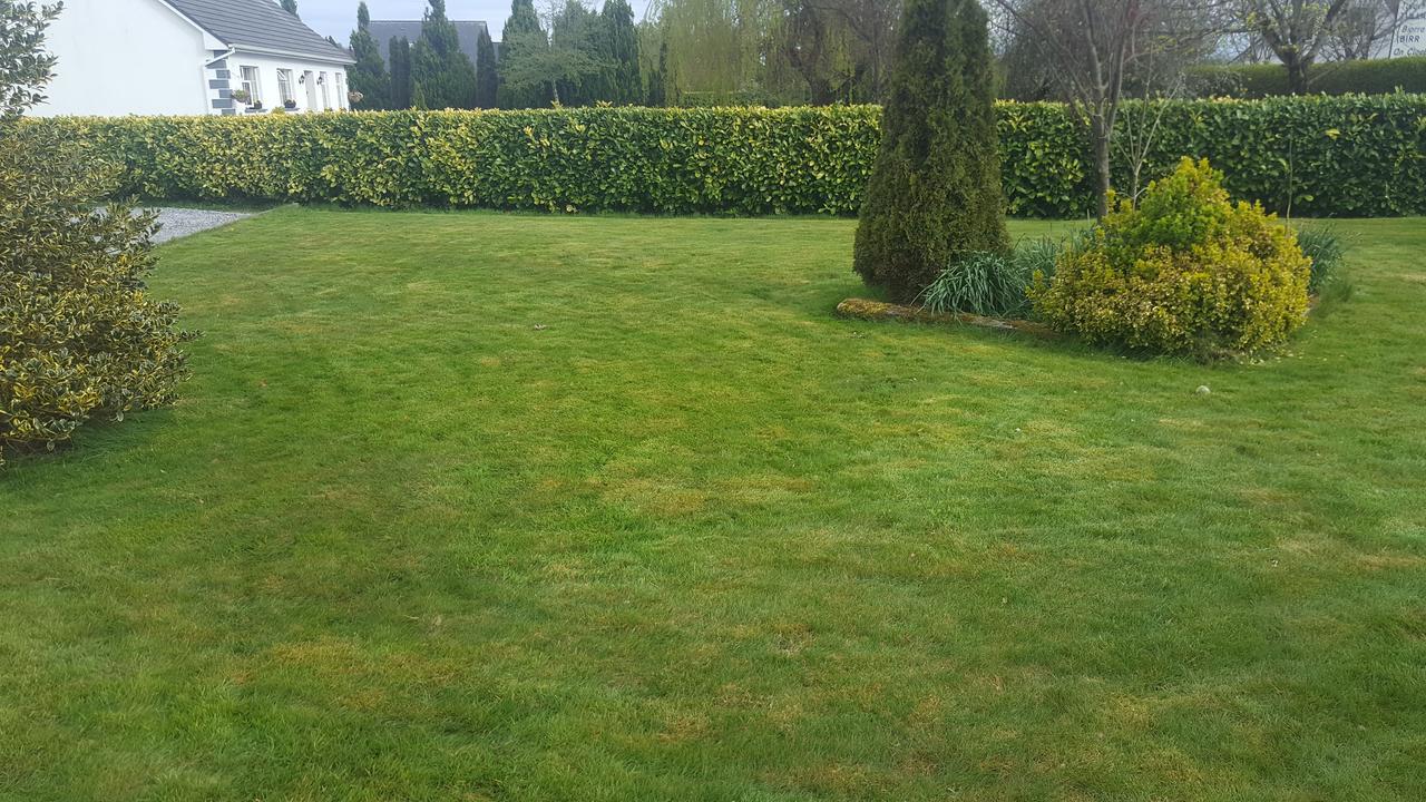 Ely House B&B Shannonbridge Exterior photo